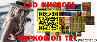 PSILOCYBIN Тверь