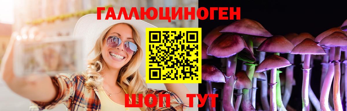 Галлюциногенные грибы прущие грибы Малгобек