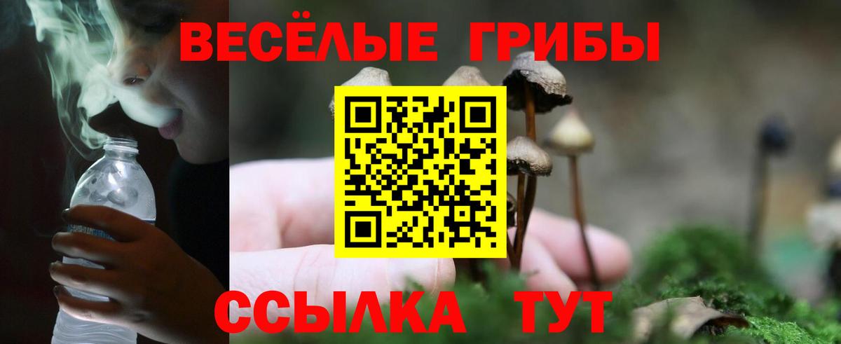 Малгобек  Псилоцибиновые грибы Psilocybine cubensis  Вход с VPN 